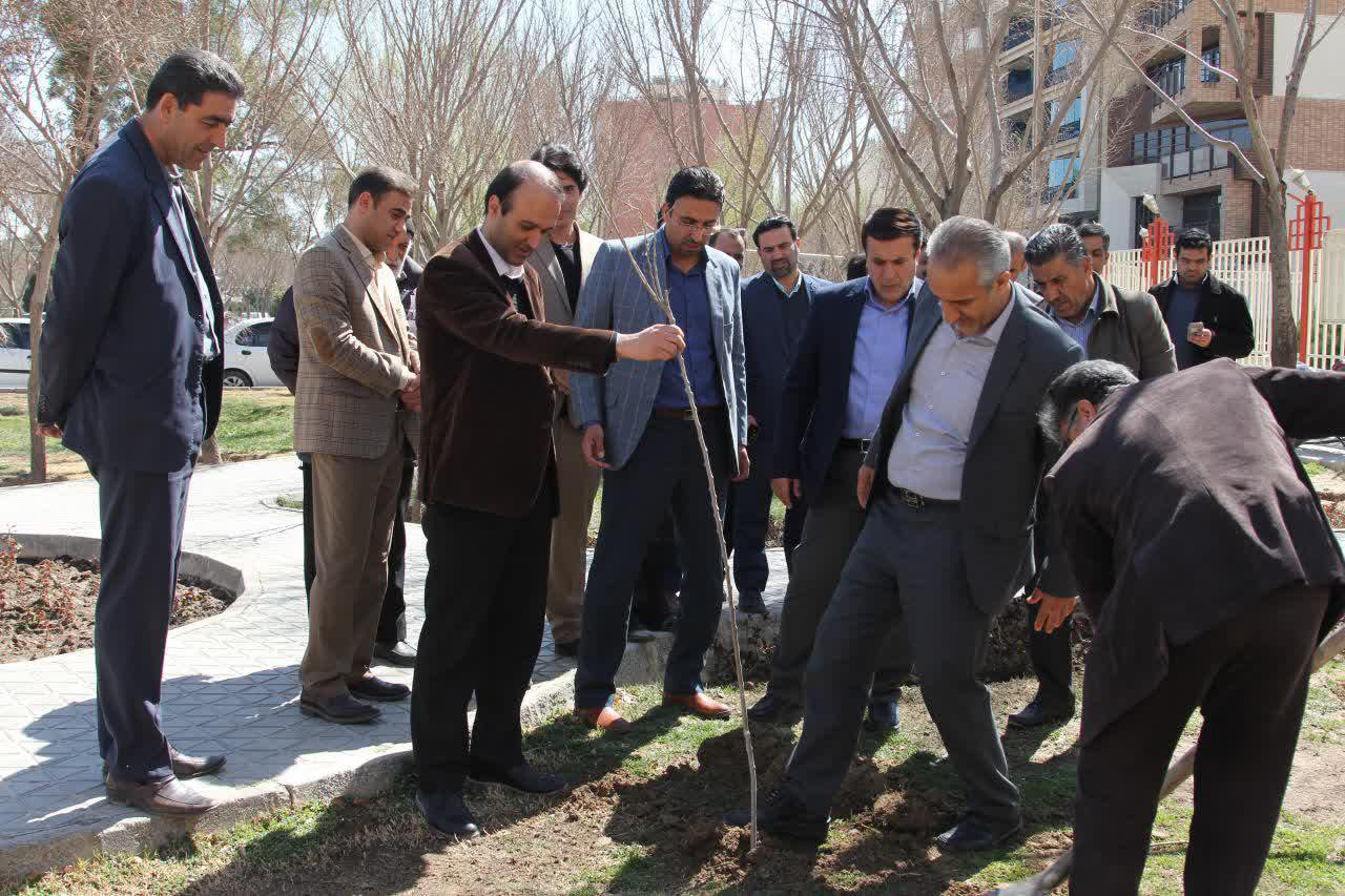 کاشت نهال توسط مسئولین ورزش و جوانان استان اصفهان